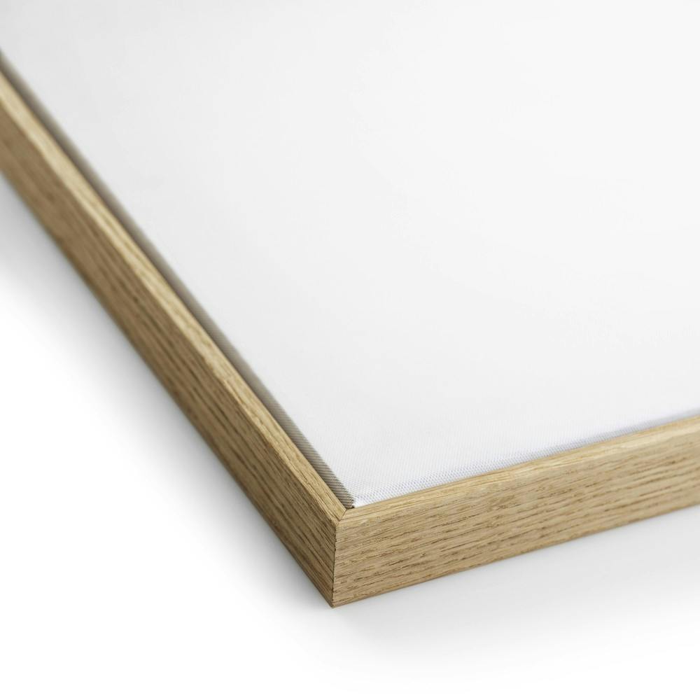 Lunara Abstracte Wanddecoratie – Organische Kunst met Houten Lijst en Zachte Kleuren