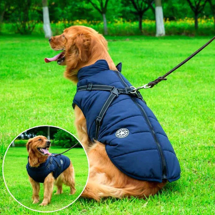 Waterdichte Winterjas voor Honden met Sherpa Fleece & Ingebouwd Harnas | Reflecterend & Winddicht