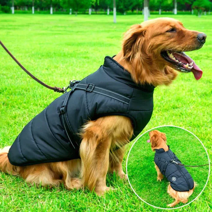 Waterdichte Winterjas voor Honden met Sherpa Fleece & Ingebouwd Harnas | Reflecterend & Winddicht