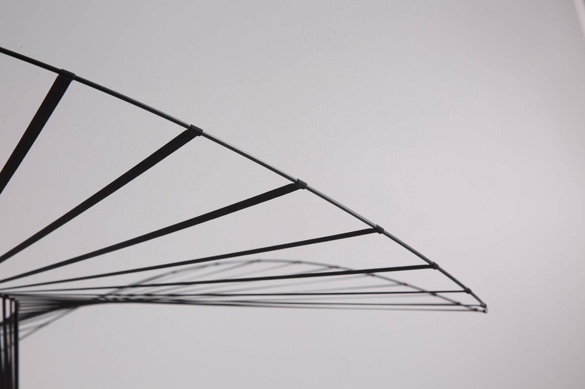 Métal Noir Hanglamp – Modern Design met Elegante Lichtaccenten