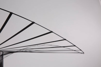 Métal Noir Hanglamp – Modern Design met Elegante Lichtaccenten