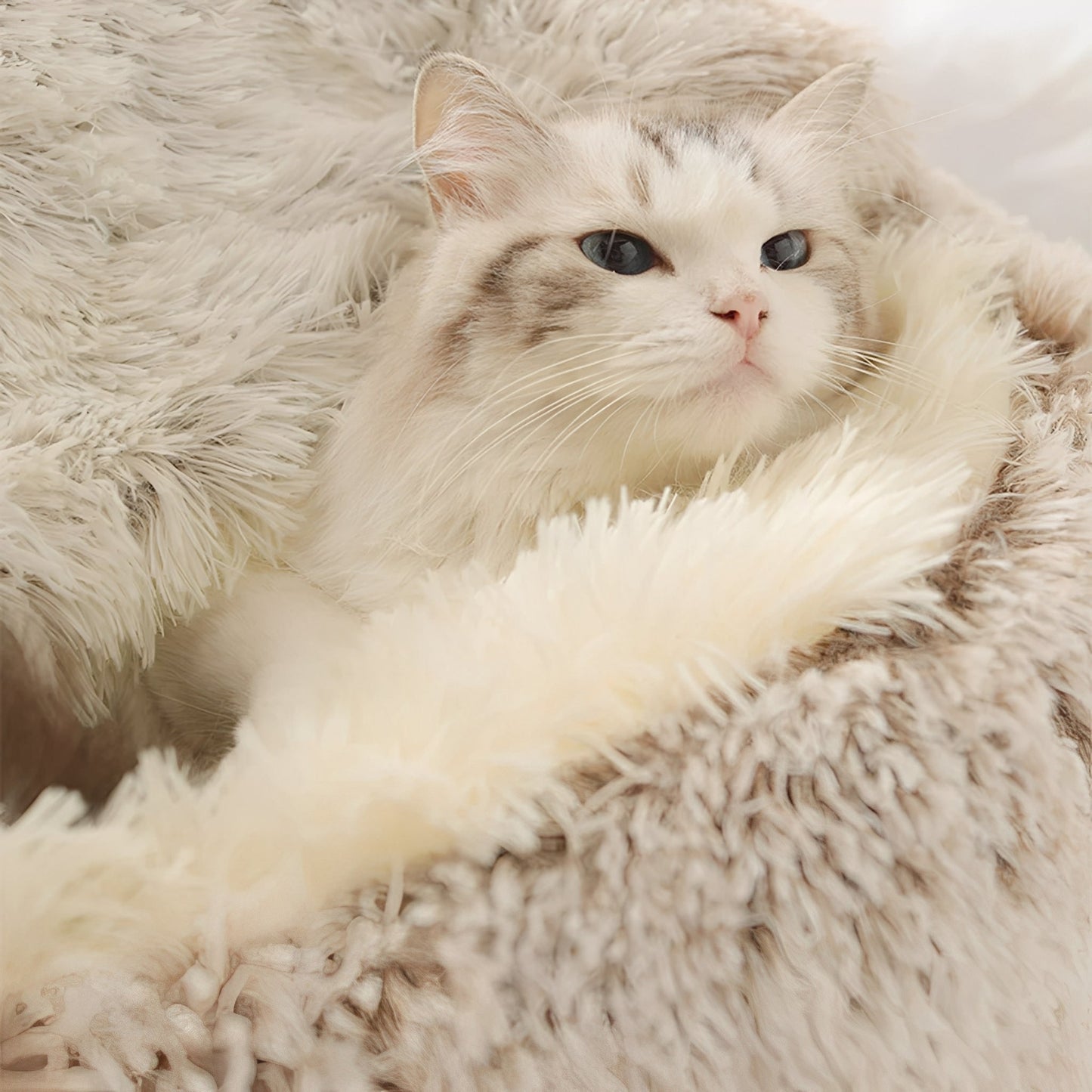 Orthopedische Huisdieren Grotmand – Warme, Knusse & Rustgevende Schuilplek voor Katten en Kleine Honden