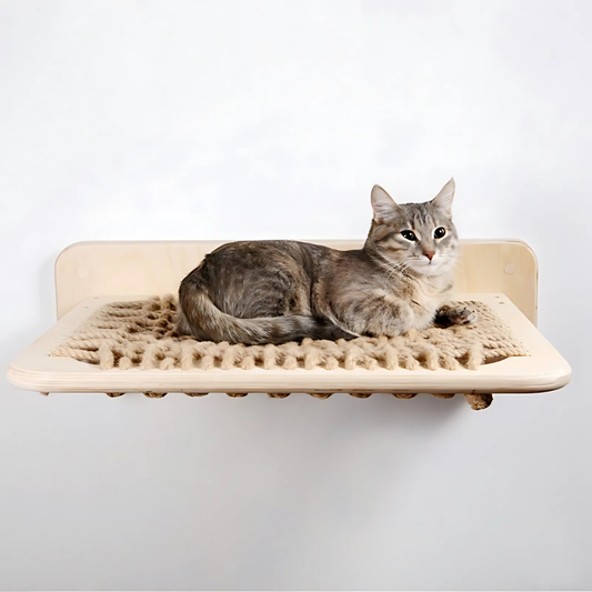 Verhoogde Katten Lig- en Speelplek – Stevig, Comfortabel & Ruimtebesparend Platform voor Spelen, Slapen en Observeren