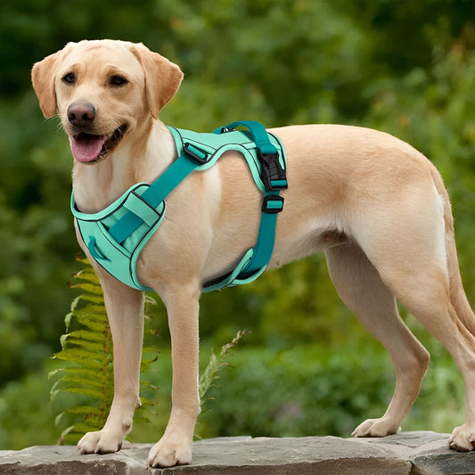 Ademend Hondenharnas met Reflectie – Verkoelend, Lichtgewicht & Veilig voor Zomerse Wandelingen, Hondenriem