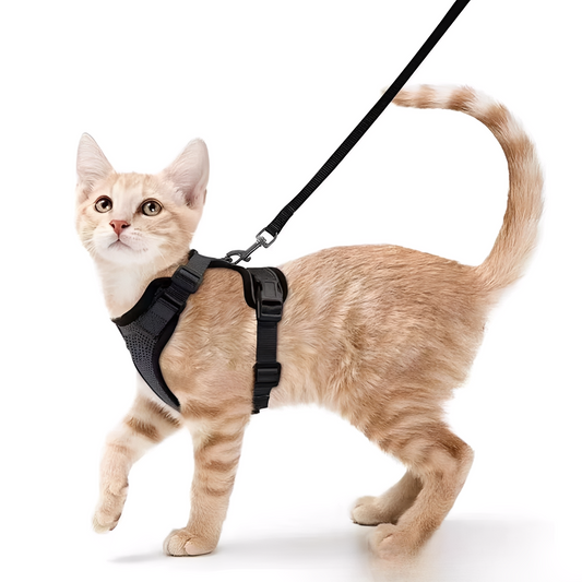 Verstelbaar Kattenharnas – Ademend, Veilig & Comfortabel Ontwerp voor Ontspannen Wandelingen