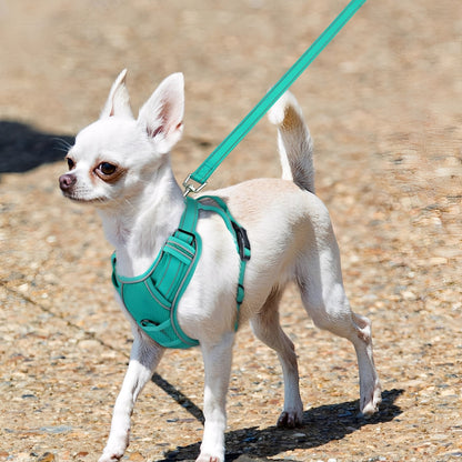 Ademend Hondenharnas met Reflectie – Verkoelend, Lichtgewicht & Veilig voor Zomerse Wandelingen, Hondenriem