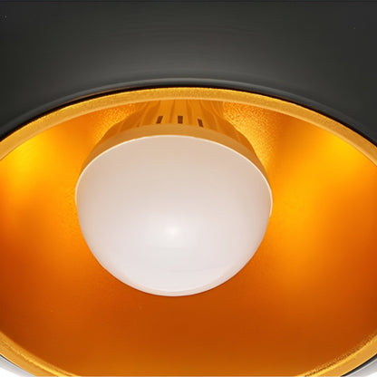 Apple Hanglamp – Artistieke Verlichting met Modern Design