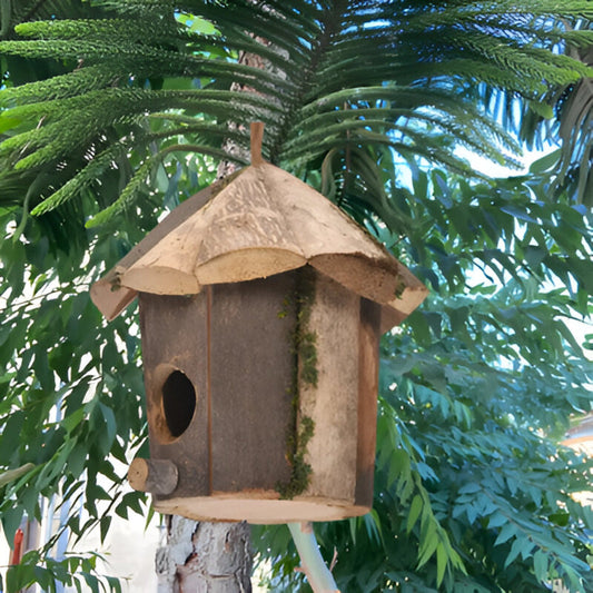 Domus – Rustiek Houten Vogelhuisje voor Kolibries | Natuurlijke Nestkast voor Kleine Tuinvogels & Decoratieprojecten