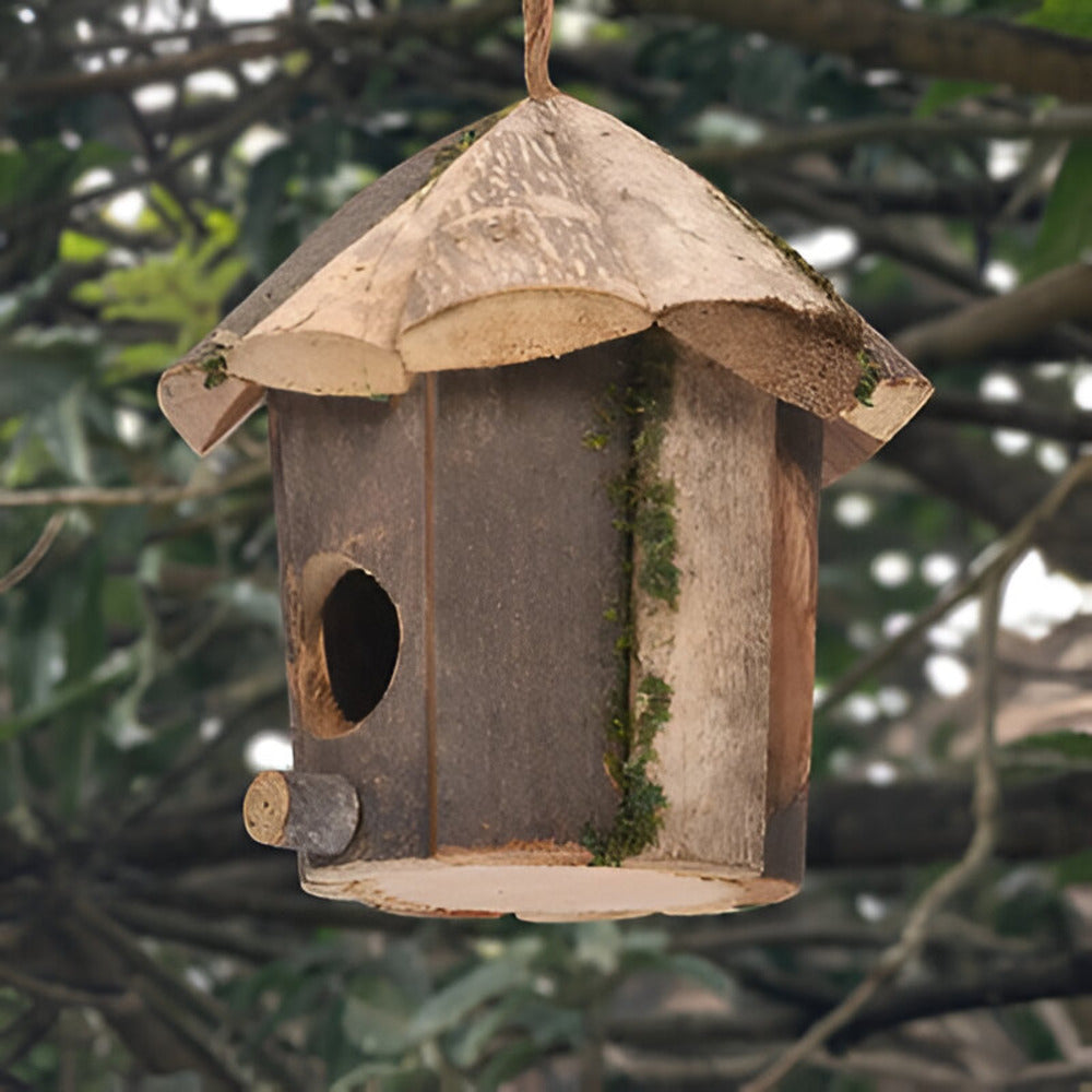 Domus – Rustiek Houten Vogelhuisje voor Kolibries | Natuurlijke Nestkast voor Kleine Tuinvogels & Decoratieprojecten