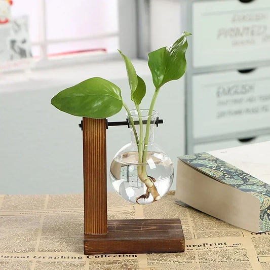 Hydroponisch Planten Terrarium met Houten Stand – Vintage Glazen Vaas voor Planten Decoratie