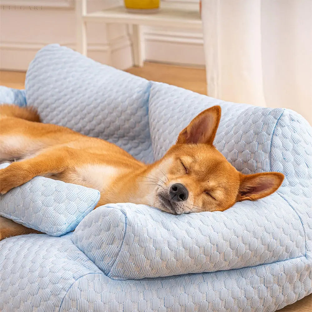Wasbaar Orthopedisch Pluche Hondenbed - CozyPaws™