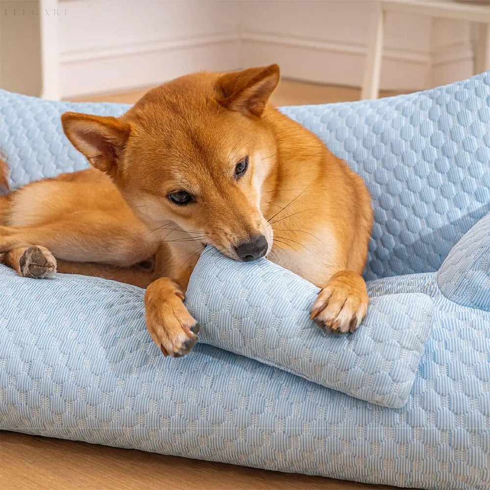 Wasbaar Orthopedisch Pluche Hondenbed - CozyPaws™