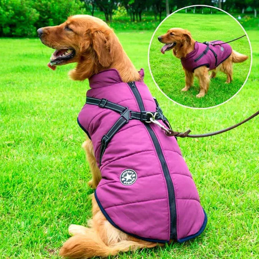 Waterdichte Winterjas voor Honden met Sherpa Fleece & Ingebouwd Harnas | Reflecterend & Winddicht